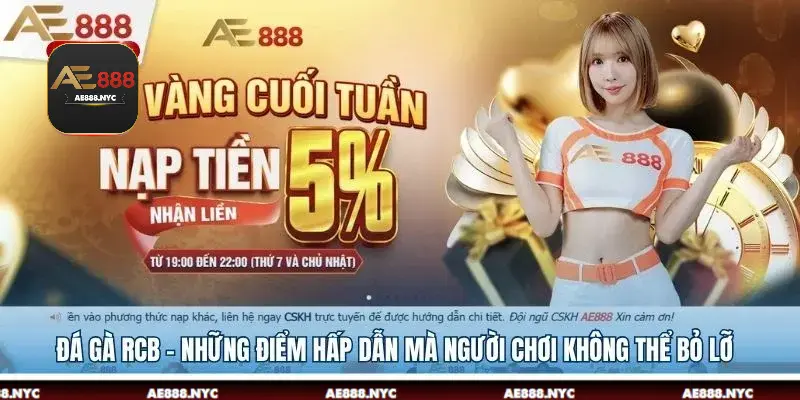 Đá Gà RCB - Những Điểm Hấp Dẫn Mà Người Chơi Không Thể Bỏ Lỡ