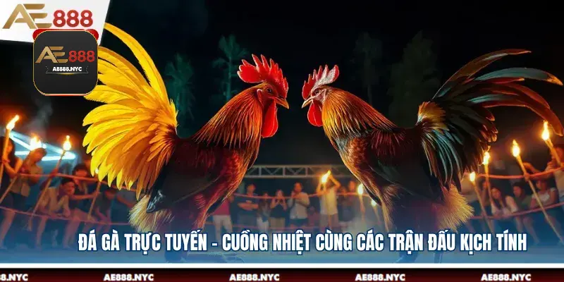 Đá Gà Trực Tuyến - Cuồng Nhiệt Cùng Các Trận Đấu Kịch Tính